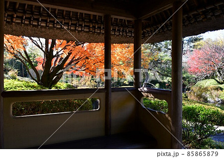 紅葉真っ盛り　秋の丈山苑　詩泉閣 85865879