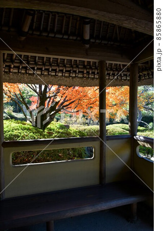 紅葉真っ盛り　秋の丈山苑　詩泉閣 85865880