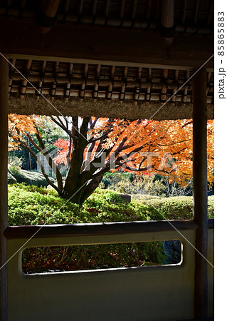紅葉真っ盛り　秋の丈山苑　詩泉閣 85865883