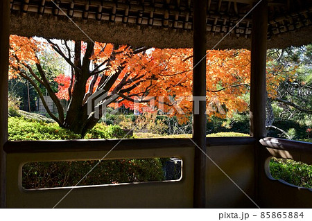 紅葉真っ盛り　秋の丈山苑　詩泉閣 85865884