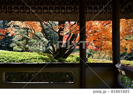 紅葉真っ盛り　秋の丈山苑　詩泉閣 85865885