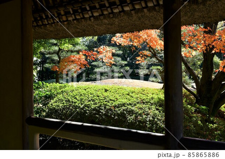 紅葉真っ盛り　秋の丈山苑　詩泉閣 85865886