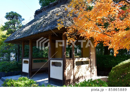 紅葉真っ盛り　秋の丈山苑　詩泉閣 85865889