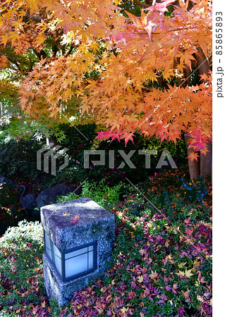 紅葉真っ盛り　秋の丈山苑　詩泉閣 85865893