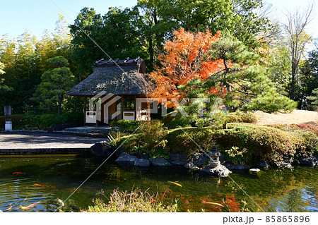 紅葉真っ盛り　秋の丈山苑　詩泉閣 85865896