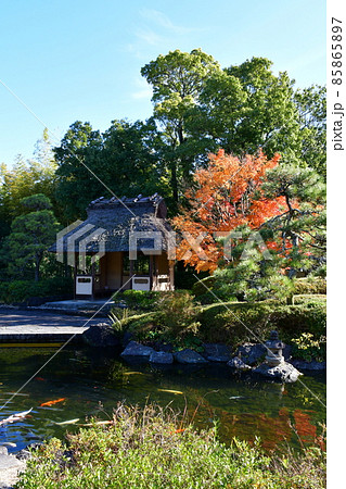 紅葉真っ盛り　秋の丈山苑　詩泉閣 85865897