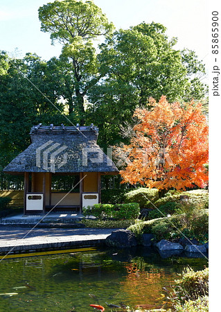 紅葉真っ盛り　秋の丈山苑　詩泉閣 85865900