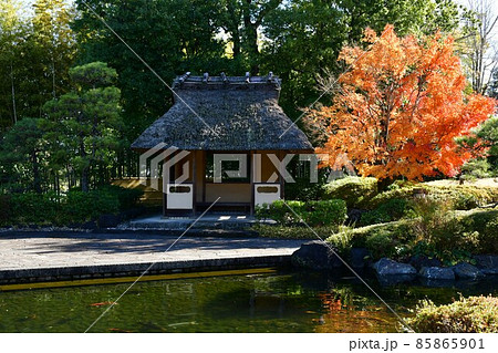 紅葉真っ盛り　秋の丈山苑　詩泉閣 85865901