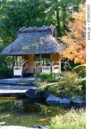 紅葉真っ盛り　秋の丈山苑　詩泉閣 85865905