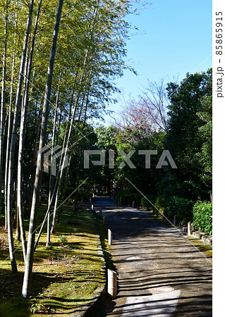 紅葉真っ盛り　秋の丈山苑　詩泉閣 85865915