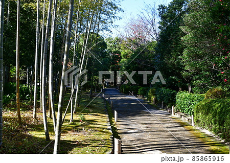 紅葉真っ盛り　秋の丈山苑　詩泉閣 85865916