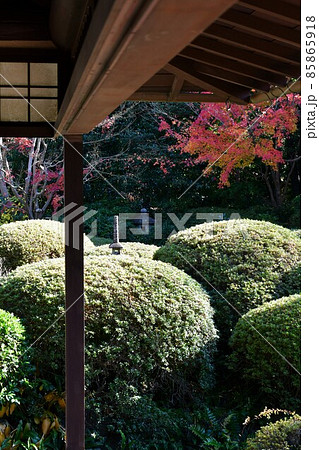 紅葉真っ盛り　秋の丈山苑　詩泉閣 85865918