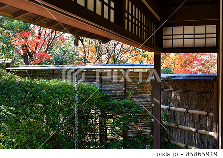 紅葉真っ盛り　秋の丈山苑　詩泉閣 85865919