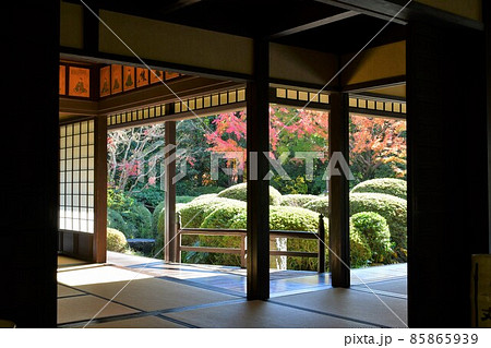 紅葉真っ盛り　秋の丈山苑　詩泉閣 85865939