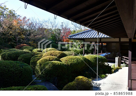 紅葉真っ盛り　秋の丈山苑　詩泉閣 85865988