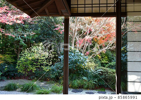 紅葉真っ盛り　秋の丈山苑　詩泉閣 85865991