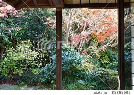 紅葉真っ盛り　秋の丈山苑　詩泉閣 85865992
