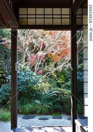 紅葉真っ盛り　秋の丈山苑　詩泉閣 85865993