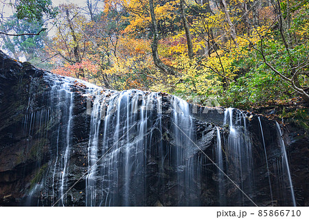 紅葉した岩井滝 85866710