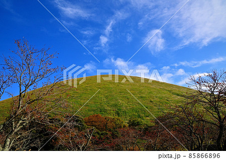 東伊豆大室山 85866896