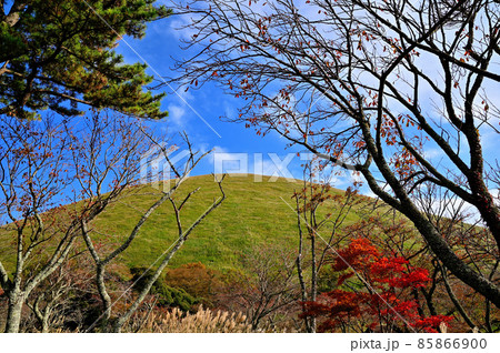 東伊豆大室山 東伊豆大室山 85866900