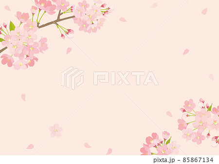 桜 背景イラストのイラスト素材