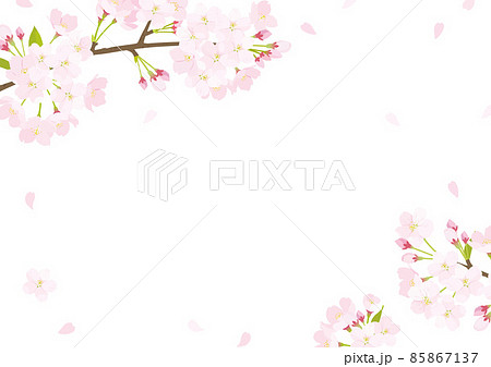 桜　背景イラスト 85867137