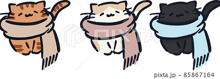マフラーを巻いた猫 85867164
