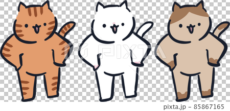 一隻站立的貓 一隻站立的貓 85867165