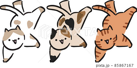 逆立ちする猫 85867167