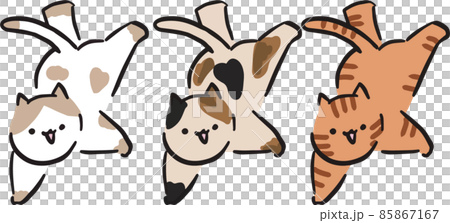 倒立貓 倒立貓 85867167