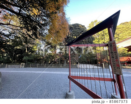 鎌倉鶴岡八幡宮のおみくじ結ぶ場所 鎌倉鶴岡八幡宮のおみくじ結ぶ場所 85867373