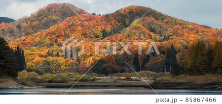 恩原湖からの紅葉 85867466