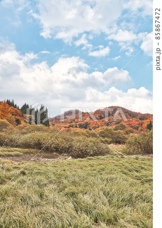 恩原高原の紅葉と青空（縦構図） 85867472