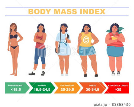 BMI for women. Body mass index chart based on height and weight, flat vector illustration. 85868430