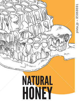 Honey production banner with honeycombs, hand drawn sketch vector illustration. 85868691