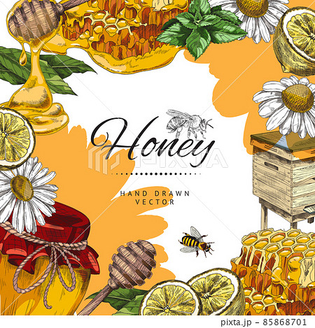 Hand drawn honey frame banner with copy space for text, colored sketch vector illustration. Hand drawn honey frame banner with copy space for text, colored sketch vector illustration. 85868701