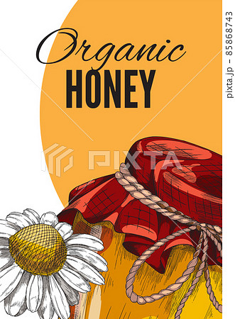 Organic honey advertising vertical poster or banner, hand drawn sketch vector illustration. Organic honey advertising vertical poster or banner, hand drawn sketch vector illustration. 85868743