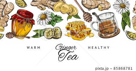 Ginger tea seamless banner with honey, mint leaves and chamomile flowers, sketch vector illustration on white. Ginger tea seamless banner with honey, mint leaves and chamomile flowers, sketch vector illustration on white. 85868781
