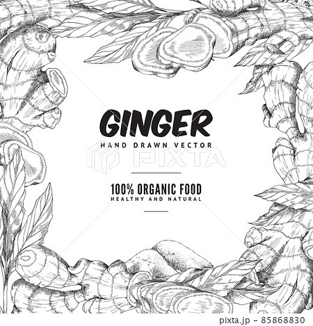 Vector ginger set with root, slice pieces, powder and leaves in square border. 85868830