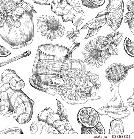 Ginger tea with honey, lemon, mint and chamomile on sketch seamless background 85868831