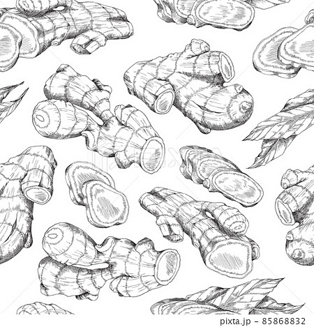 Turmeric root sliced with leaf, hand drawn engraved background pattern. 85868832