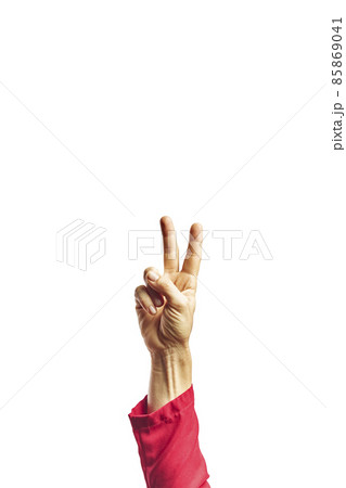 Hand of woman showing fingers over isolated white background counting number 2 showing two fingers, gesturing victory 85869041