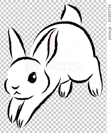 Rabbit jumping vigorously Fashionable illustration of sumi-e style drawn with a paintbrush Hand-painted analog-style vector Rabbit jumping vigorously Fashionable illustration of sumi-e style drawn with a paintbrush Hand-painted analog-style vector 85869754