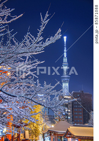 雪の浅草寺 雪の浅草寺 85871088