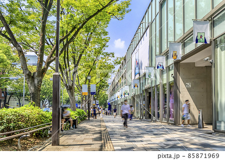 東京渋谷の都市風景 表参道 東京渋谷の都市風景 表参道 85871969