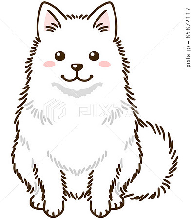 日本スピッツ 85872117