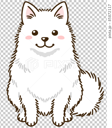 日本スピッツ 85872117