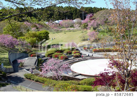 桜咲く公園の遠景　静峰ふるさと公園 85872685
