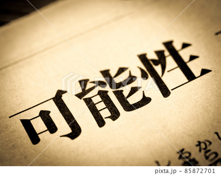 「可能性」の見出し 85872701